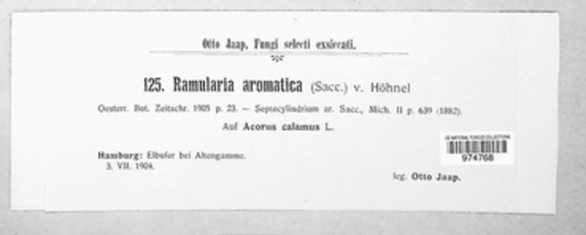 Ramularia aromatica image